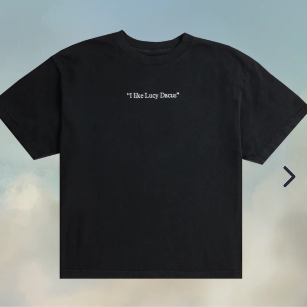 NWT Official “I like Lucy Dacus” embroidered merch tee